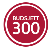 Julegavekoretet_budget_300