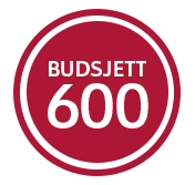 Julegavekoretet_budget_600