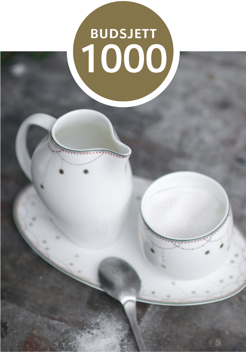 Budsjett_1000_2
