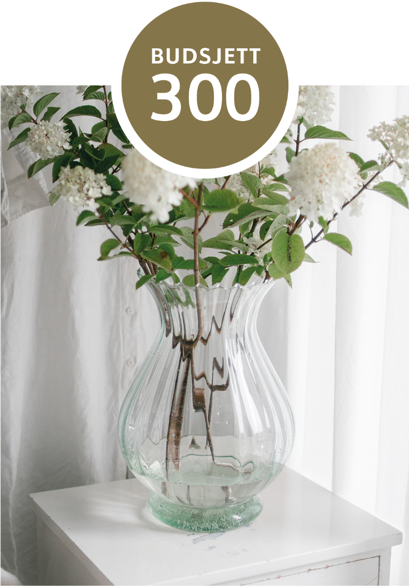 Budsjett_300